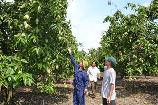 Đồng Tháp với cách mạng 4.0 trong nông nghiệp