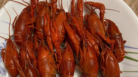 Cần ngăn chặn, xử lý việc bán tôm hùm đất