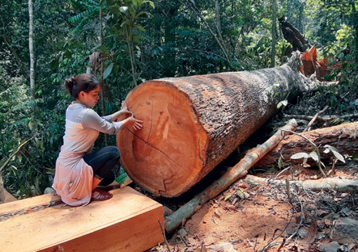 Những chuyến thâm nhập “vùng nóng” miền Tây Quảng Nam