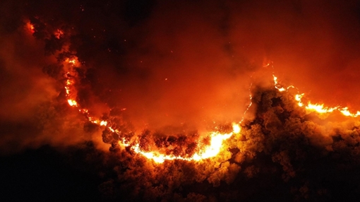 Từ vụ cháy rừng ở núi Hồng Lĩnh: Thổn thức sau bão lửa