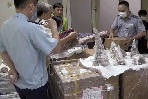 Uống sừng tê giác chữa “bách bệnh”: Không có bằng chứng khoa học