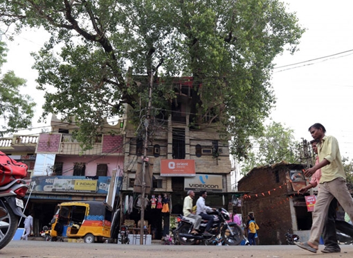 Chuyện lạ thế giới số 241