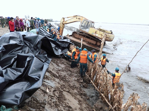Ưu tiên khắc phục những điểm sạt lở nghiêm trọng đê biển Cà Mau