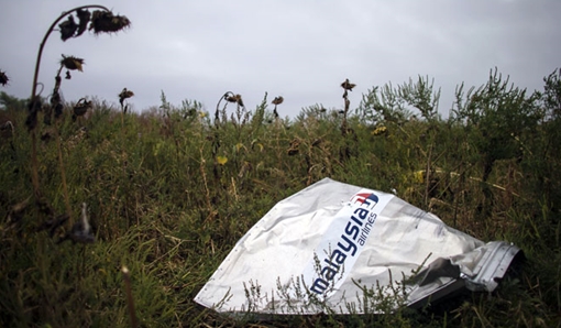 Tiết lộ mới về thảm hoạ MH17: Ai mới là thủ phạm? (kỳ 2)