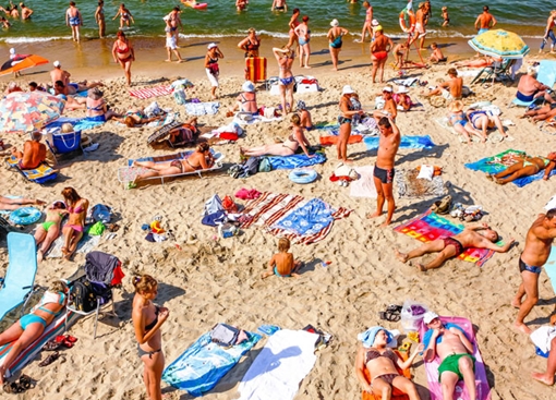 Chuyện lạ thế giới số 244