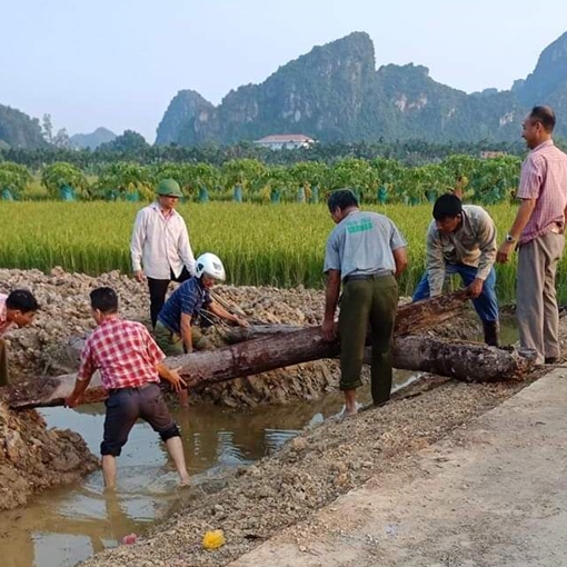 Phát hiện 2 cọc gỗ cổ nghìn năm tuổi bên sông Bạch Đằng