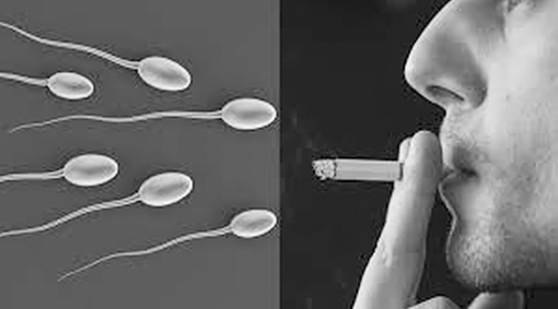 Hút thuốc lá – thủ phạm làm giảm chức năng sinh sản