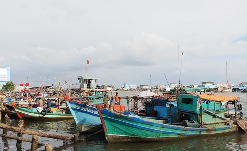 Cà Mau triển khai nhiều biện pháp khai thác thủy sản bền vững
