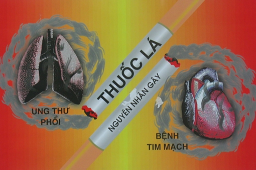 Hút thuốc và mối ràng buộc nguy hại với bệnh tim