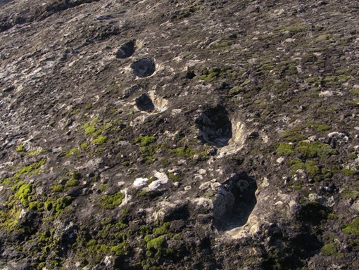 Dấu chân hóa thạch ở núi lửa Roccamonfina là của ai?