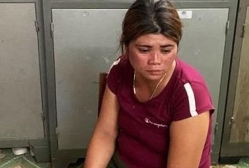 Truy tố "mẹ mìn' dụ dỗ phụ nữ sang Trung Quốc bán bào thai