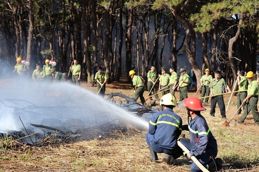 Diễn tập chữa cháy rừng ở Gia Lai