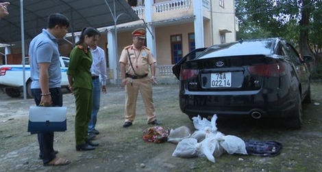Thuê xe ô tô vận chuyển, buôn bán trái phép động vật hoang dã quý hiếm