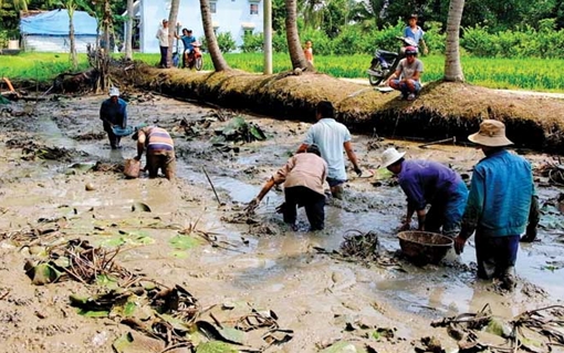 Về miền Tây tát đìa ăn Tết