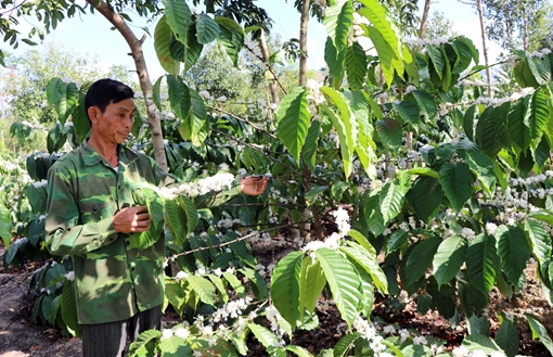 Người dân hiến hàng nghìn mét vuông đất để xây cầu