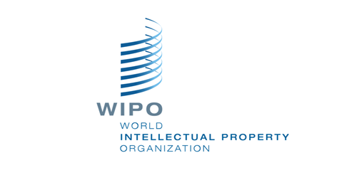 Xây dựng hồ sơ gia nhập 2 Hiệp ước của Tổ chức Sở hữu Trí tuệ thế giới
