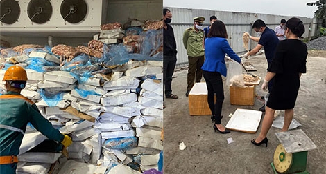 Phát hiện 72 tấn nội tạng động vật hôi thối giữa mùa dịch