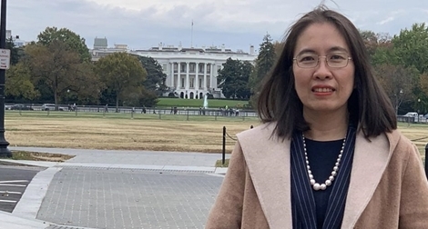 Rớt mộng về một “miền đất hứa”