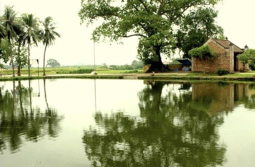 Thiên đường bí mật của tuổi thơ tôi