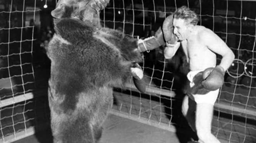 Hồ sơ thất lạc về trận "Võ sĩ giác đấu" duy nhất ở thế kỷ XX