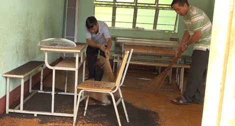 Tình trạng bọ đen “tấn công” phòng học