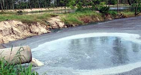 Phát hiện một công ty xả thải ra môi trường