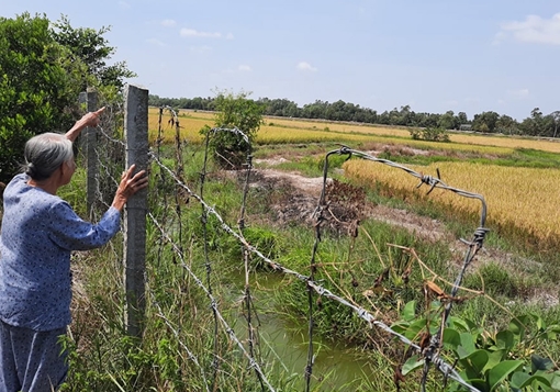 Nguy cơ mất vốn ngân sách tại Dự án Trại giống thủy sản chất lượng cao Vĩnh Long