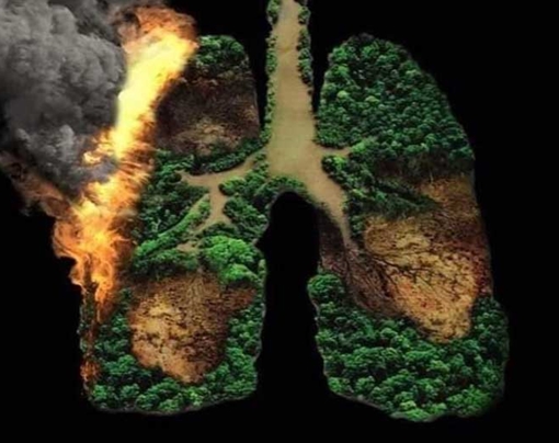 Tĩnh lặng để suy ngẫm