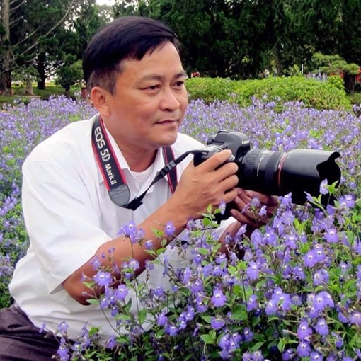 Người nghệ sĩ "say" Yên Bái như người tình