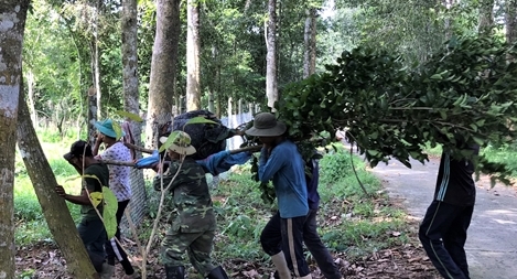 Khu bảo tồn gen Trà hoa vàng “độc nhất vô nhị” Việt Nam