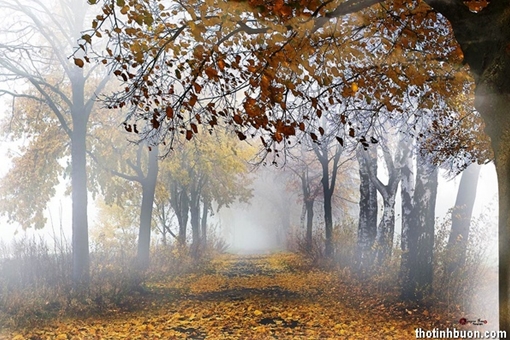 Đến được mùa thu thì đã  xa vời