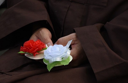 Bông hồng mùa Vu Lan