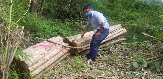 Chở gỗ lậu, 1 người bị gỗ đè tử vong