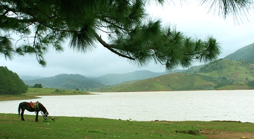 Ký ức Đankia - Suối Vàng