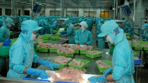 Cả nước xuất siêu 7,25 tỷ USD nông, lâm, thủy sản