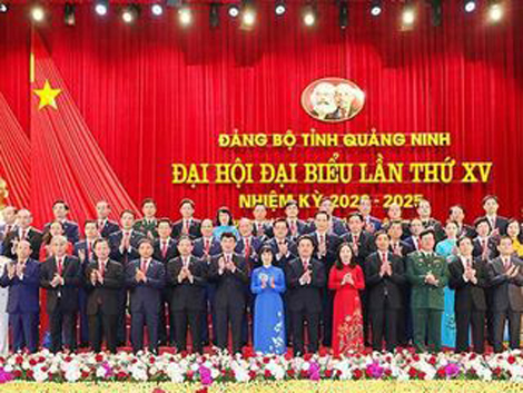 Chân dung, tiểu sử 15 Bí thư tỉnh, thành ủy khóa mới