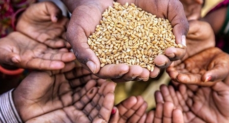 Giải Nobel Hòa bình 2020 vinh danh Tổ chức Lương thực thế giới