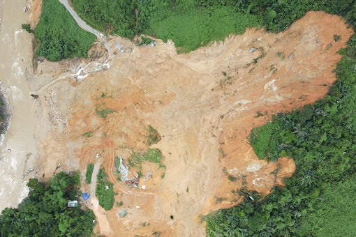 Hãy yêu lấy đất