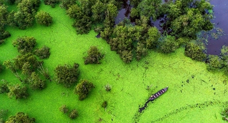 Du lịch xanh nơi “Đồng Tháp Mười thu nhỏ”