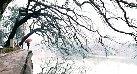 Câu thơ mùa đông