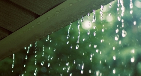 Thương những ngày mưa