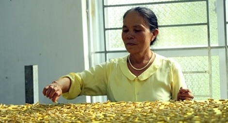 Người đàn bà và những giấc mơ thần diệu với tơ