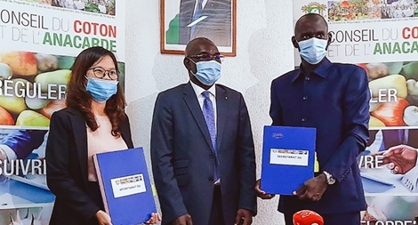 T&T Group tham gia khắc phục câu chuyện “được mùa mất giá”