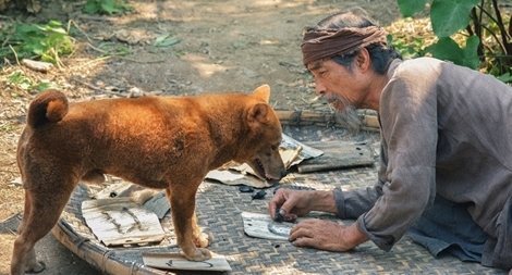 Làng Vũ Đại không còn Chí Phèo