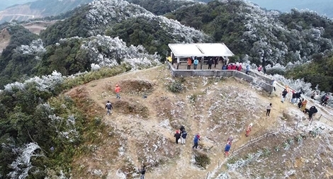 Băng giá, mưa tuyết phủ trắng diện rộng nhiều vùng núi cao phía Bắc