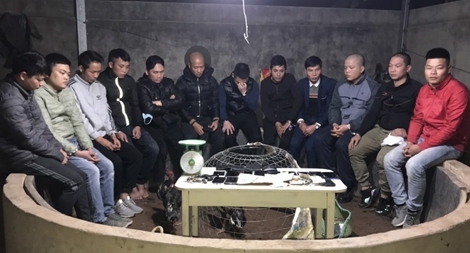 Đến trông nhà giúp chị gái rồi tranh thủ mở... sới gà