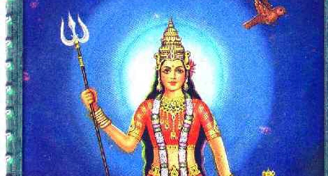 Tạm biệt Canh Tý - một đối sánh mở về chuột!