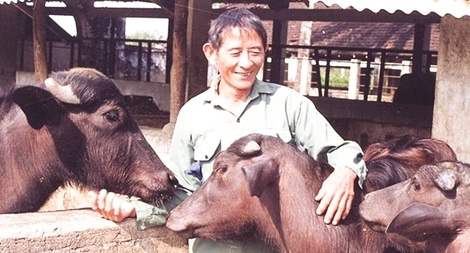 Trâu ơi ta bảo trâu này...