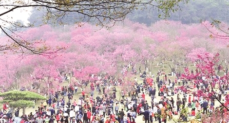 Mùa xuân trong thi ca Việt