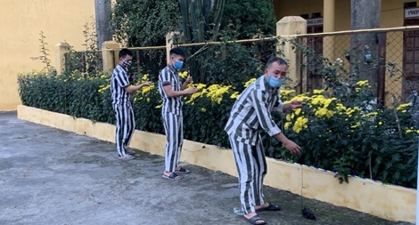 Tết chu đáo dành cho người lầm lỗi